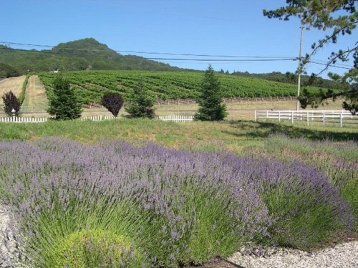 The Gables Wine Country Inn Санта-Роза Экстерьер фото